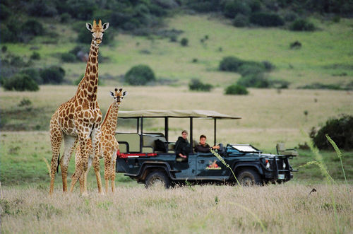 Amakhala Safari Lodge Paterson エクステリア 写真