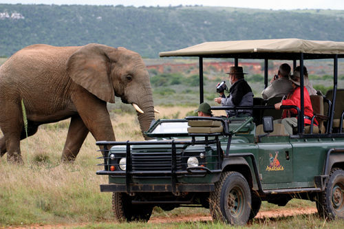Amakhala Safari Lodge Paterson エクステリア 写真