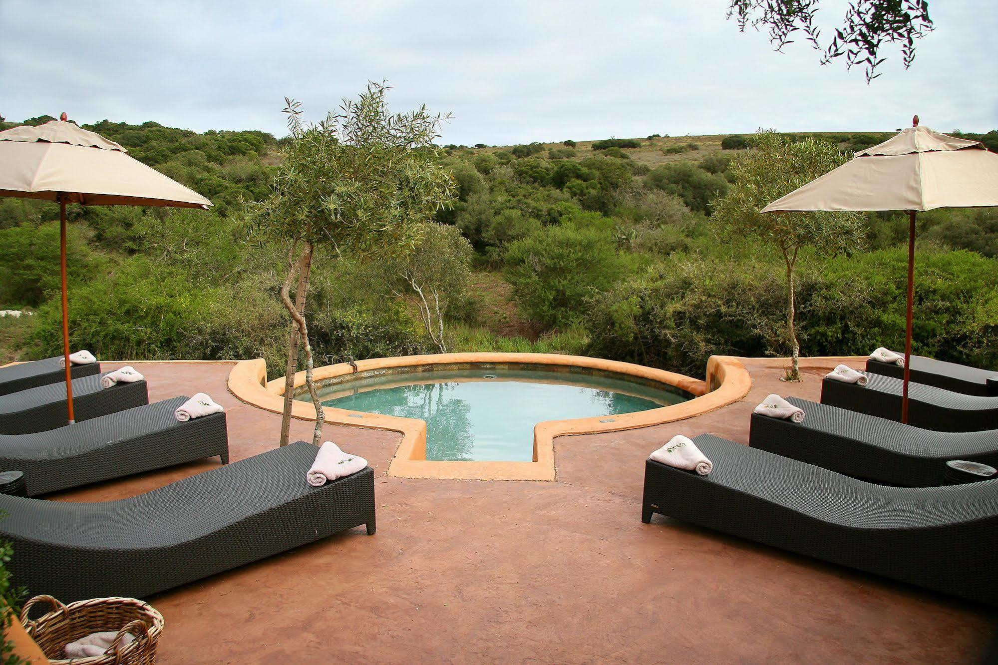 Amakhala Safari Lodge Paterson エクステリア 写真